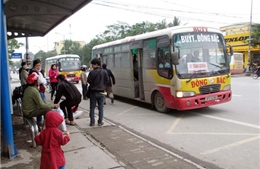 Hà Nội tăng cường xe buýt dịp Tết 